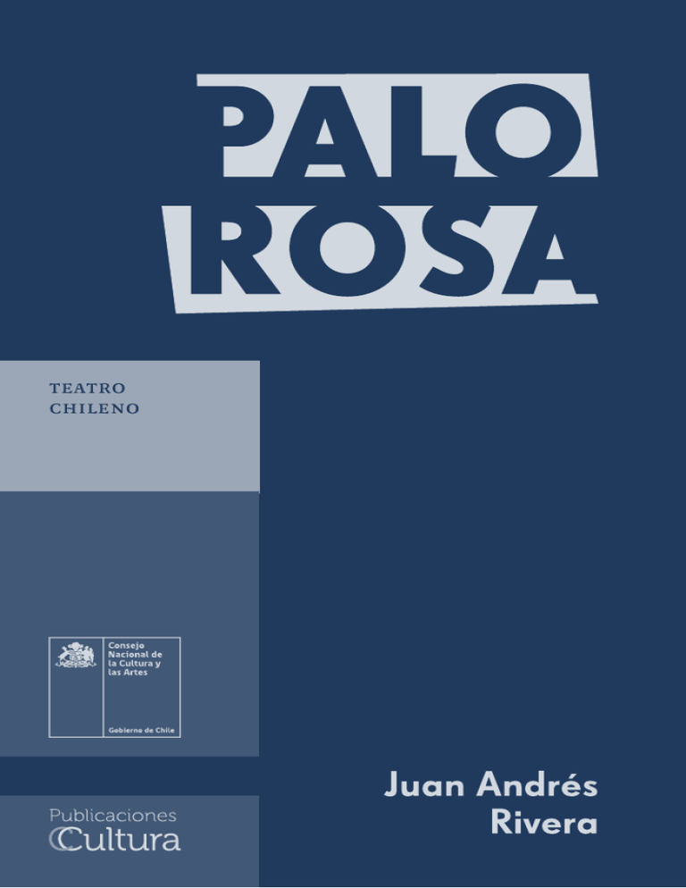 Descargar Pdf - Consejo Nacional De La Cultura Y Las Artes