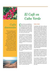 El Café en Cabo Verde - Fórum Cultural del Café