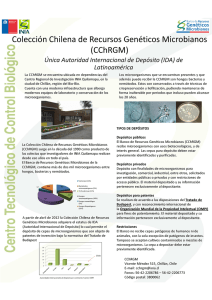 Colección Chilena de Recursos Genéticos Microbianos (CChRGM)