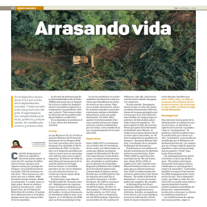 Arrasando vida - Red Agroforestal Chaco Argentina