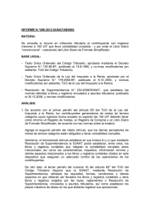 informe n.° 089-2013