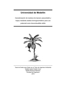 Ver/Abrir - Universidad de Medellín