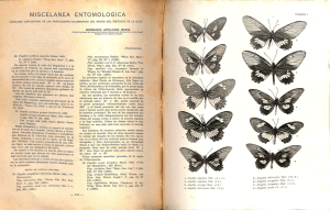 Miscelánea entomológica. Catálogo explicativo de las Ropalóceras