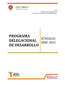 programa delegacional de desarrollo