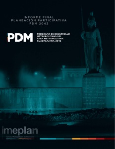 informe final planeación participativa pdm 2042