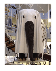 El elefante vestido de fantasma.jpg