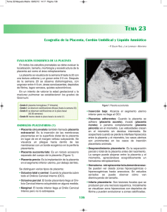 TEMA 23 - Sociedad Española de Ginecología y Obstetricia