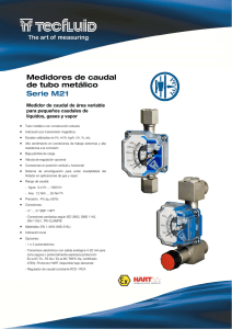 Medidores de caudal de tubo metálico Serie M21 Tecfluid