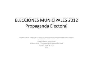 ELECCIONES MUNICIPALES 2012 Propaganda Electoral