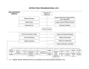 Estructura Organizacional de la Alcaldia del Municipio San Cristóbal