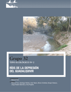 Ríos de la depresión del Guadalquivir