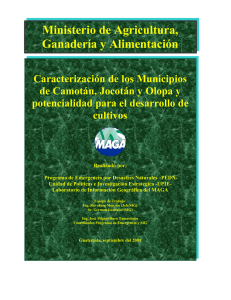 Caracterización de los Municipios de Camotán, Jocotán y Olopa y