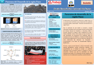 Boletín Nº 01 - 2013: Panorama de desarrollo de la región Pasco