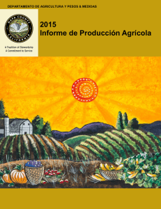 2015 Informe de Producción Agrícola