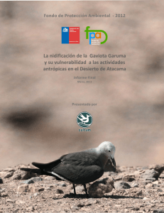 Informe Final Proyecto Garuma - Ministerio del Medio Ambiente