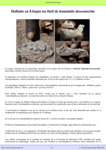 Hallado en Etiopía un fósil de homínido - Activité