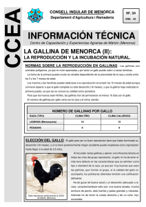 34. la gallina de menorca - Consell Insular de Menorca