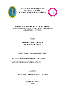 Informe final tesis - Universidad Nacional de la Amazonía Peruana