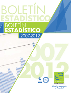 Boletin Estadístico 2007-2013
