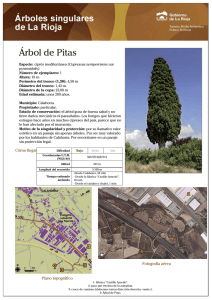 Árbol de Pitas211 KB 1 página