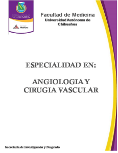 Programa de la Especialidad en Angiología y Cirugía Vascular