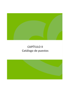 CAPÍTULO II Catálogo de puestos