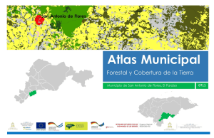 0711 San Antonio de Flores Atlas Forestal Municipal