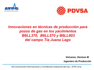 XXI Convención Internacional y X Exhibición Industrial del Gas