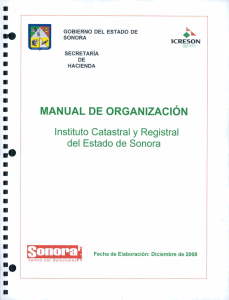 Manual de Organización