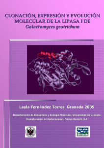 CLONACIÓN, EXPRESIÓN Y EVOLUCIÓN M OLECULAR DE LA