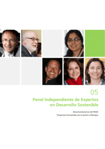 Panel Independiente de Expertos en Desarrollo Sostenible