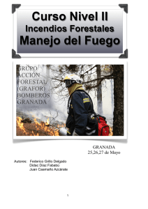 GRAFOR Manejo del Fuego, en PDF