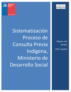 Informe Región del Biobío - Ministerio de Desarrollo Social