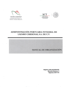 Manual de la Organización