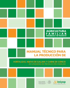 manual tecnológico para la producción de hortalizas