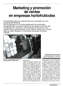 Marketing y promoción de ventas en empresas hortofrutícolas.