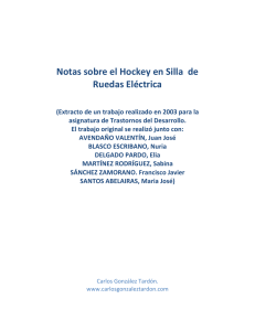 Notas sobre el Hockey en Silla de Ruedas Eléctrica