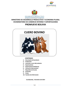 Descargar Perfil - Promueve Bolivia