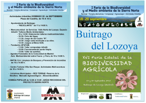 Programa completo en formato Pdf - Ayuntamiento de Buitrago del