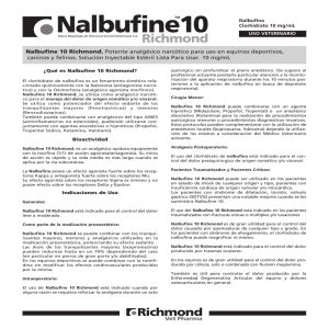 Nalbufine10