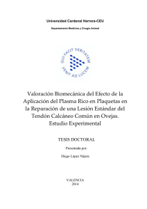 López Nájera, Diego_Tesis_Valoración biomecánica