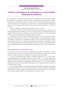 Índices endoscópicos de actividad en la enfermedad inflamatoria