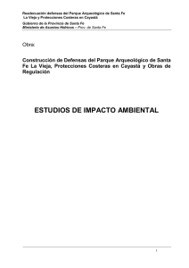 ESTUDIOS DE IMPACTO AMBIENTAL