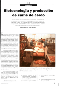 Biotecnología y producción de carne de porcino