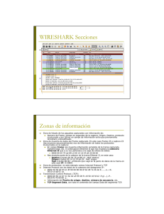 WIRESHARK Secciones Zonas de información