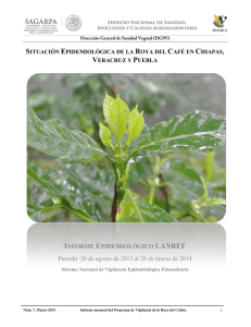Informe Epidemiológico Roya del Café (SAGARPA, Mar 2014).