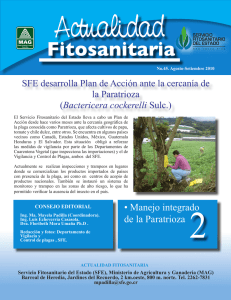 N° 45 SFE desarrolla Plan de Acción ante la cercanía de