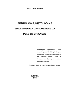 LUCIA DE NORONHA_1998 - Biblioteca Digital da UFPR
