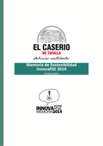 Memoria de Sostenibilidad InnovaRSE 2014 - Gobierno