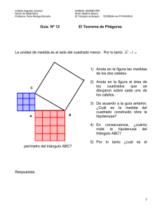 Guía Nº 12 El Teorema de Pitágoras